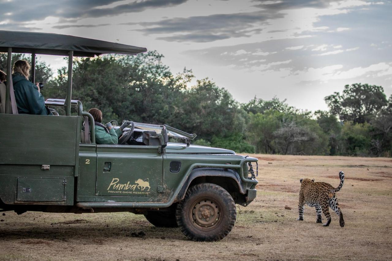 Pumba Private Game Reserve グラハムズタウン エクステリア 写真
