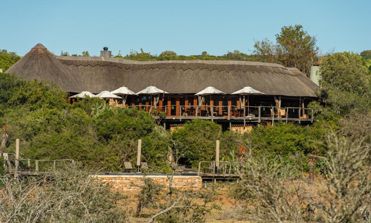 Pumba Private Game Reserve グラハムズタウン エクステリア 写真