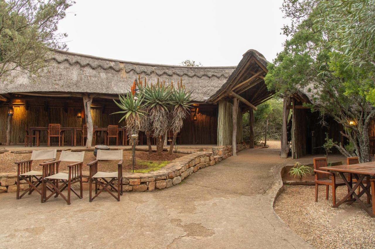 Pumba Private Game Reserve グラハムズタウン エクステリア 写真